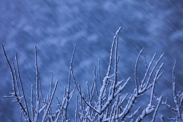 Χειμερινή Σκηνή Στο Ορεινό Τοπίο Χιόνισμα Στο Δέντρο — Φωτογραφία Αρχείου