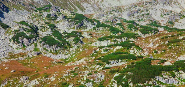 Textur Des Felsigen Berges Retezat Rumänien — Stockfoto