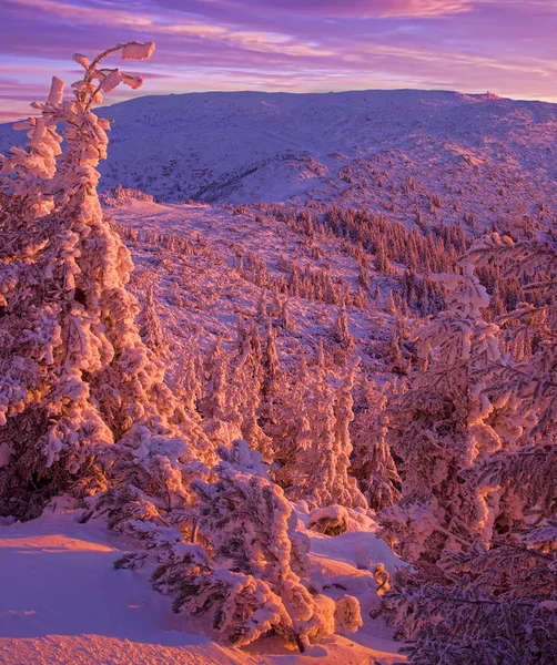 Červený Západ Slunce Zimní Horské Krajině — Stock fotografie