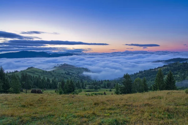 森の霧と霧 真夏の朝の空中風景 — ストック写真