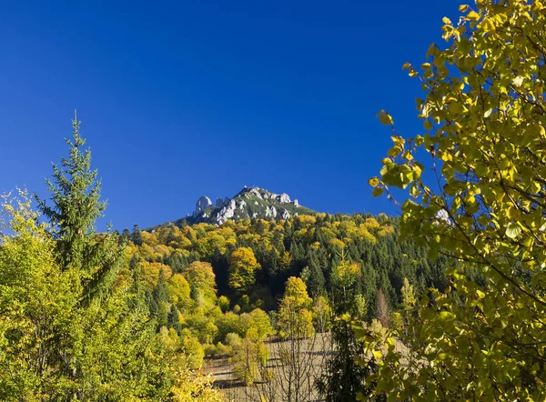 Φθινοπωρινό Δάσος Και Ορεινό Τοπίο Του Τσέχλαου Ρουμανία — Φωτογραφία Αρχείου