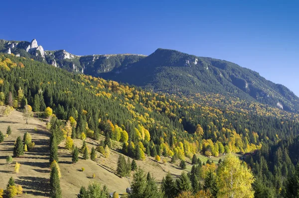 Осенний Пейзаж Горных Пейзажах Чеахи Румыния — стоковое фото