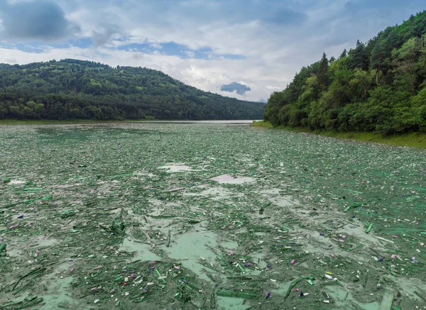 Pollution Lac Avec Eau Verte Abstraite Des Ordures Concept Écologique — Photo
