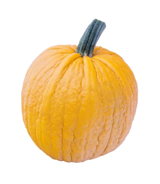 Orange Pumpkin Isolated White — Stock Photo, Image