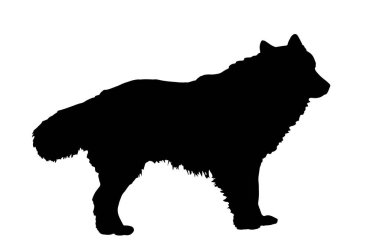 Siyah köpeğin vektör illüstrasyonu, basit biçim