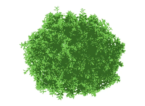 Vektor Färsk Grön Växt Illustration Miljöbegreppet — Stock vektor