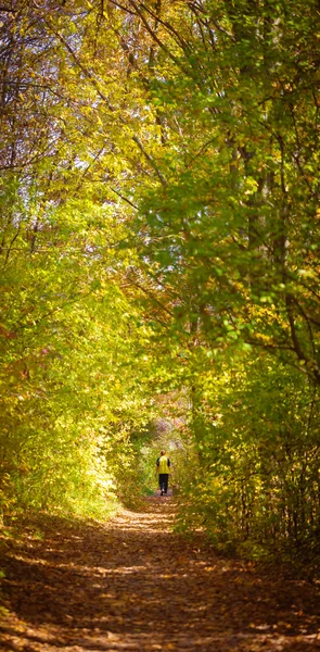 Woman walking on trail — Stock Photo, Image