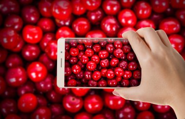 Bir Smartphone'a kadın fotoğrafları