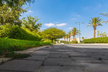 kaldırım ve bitkiler Park