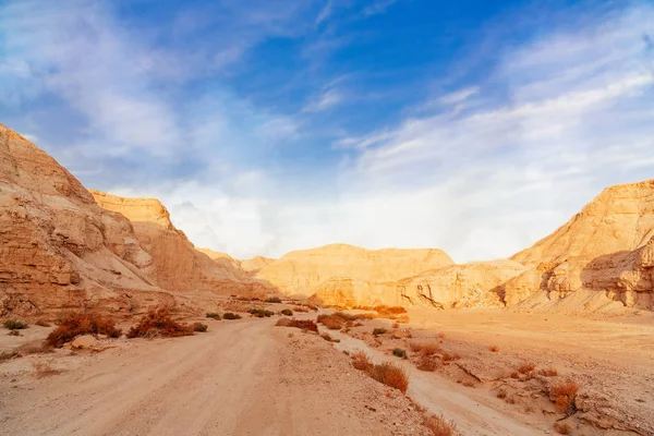 Het landschap van de Negev-woestijn — Stockfoto