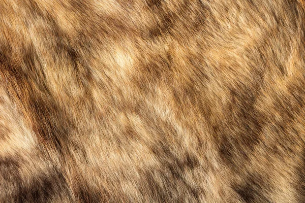 Tekstury z futra naturalnego — Zdjęcie stockowe