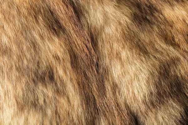 texture of natural fur