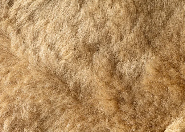 纹理的天然毛皮 — 图库照片