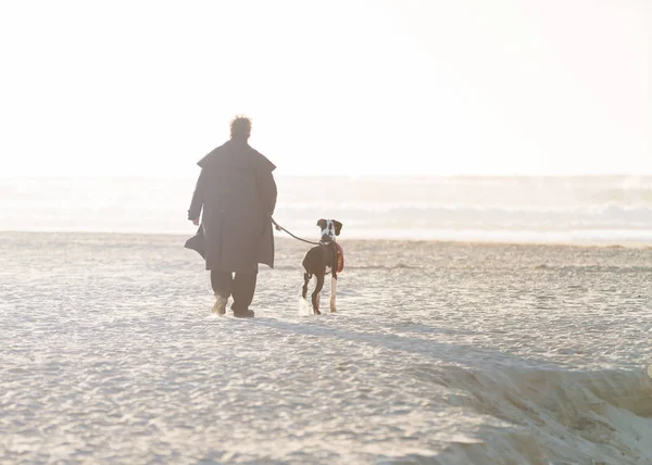 Homem com uma caminhada de cão — Fotografia de Stock