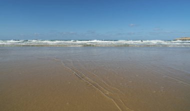 Akdeniz sahil peyzaj 