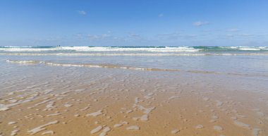 Akdeniz sahil peyzaj 