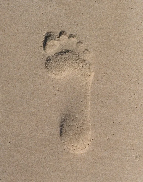 Trace of human foot — Stock Photo, Image