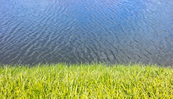 Texture of a lake and grass — Stock Photo, Image