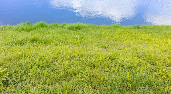 Texture of a lake and grass — Stock Photo, Image