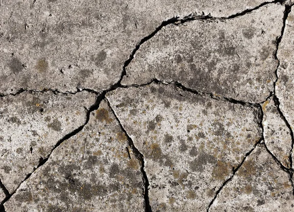 Texture of a concrete wall close-up — Stock Photo, Image