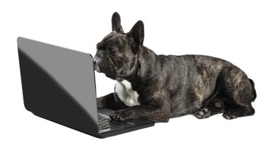 Fransız buldozer laptop ile yalan 