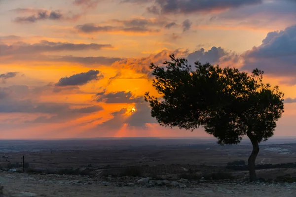 砂漠の夕日 — ストック写真