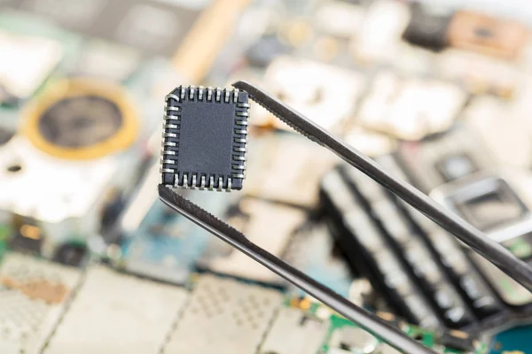 Electronic chip in tweezers — Stock Photo, Image