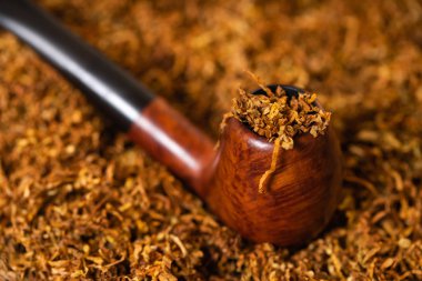 Sigara boru yakın çekim 