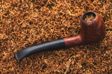 Sigara boru yakın çekim 