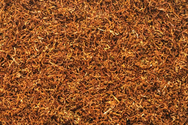 Dry smoking tobacco texture closeup — Stock Photo, Image