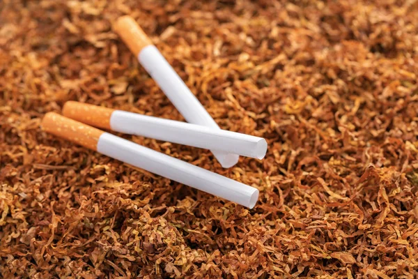 Cigarettes close-up — Stock Photo, Image