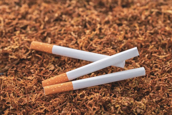 Cigarettes close-up — Stock Photo, Image