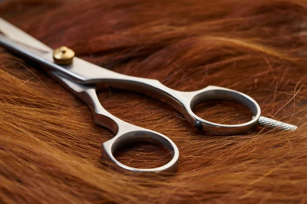 Nowe nożyczki fryzjerskie — Zdjęcie stockowe