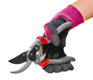 bahçe aracı secateurs beyaz izole bir arka plan üzerinde                               