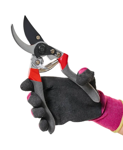 Garden Tool Secateurs Hand White Isolated Background — Stock Photo, Image