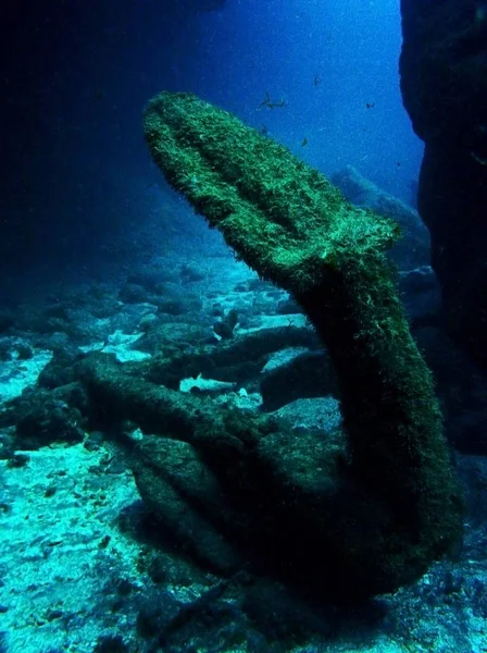 Andesto, Condesito, подводная лодка . — стоковое фото