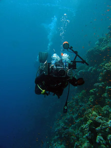 Underwater photographer, Red Sea. — Stock Photo, Image