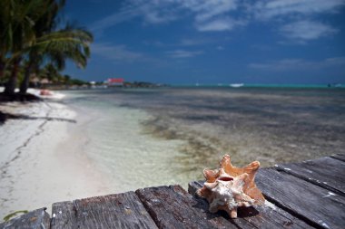 Belize kartpostal