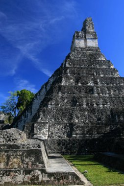 Maya tapınak ı Tikal