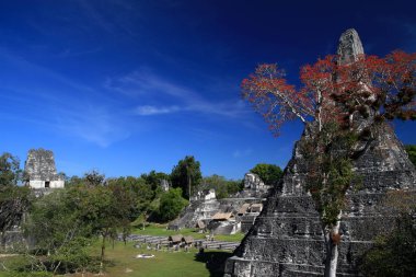 Tikal Main Plaza
