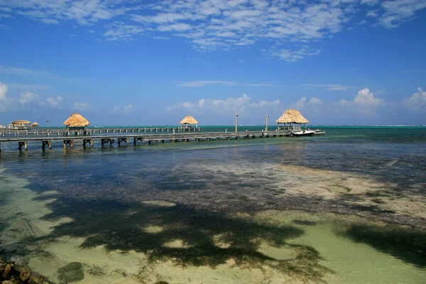 Ambergris Caye Beach — Stock Photo, Image