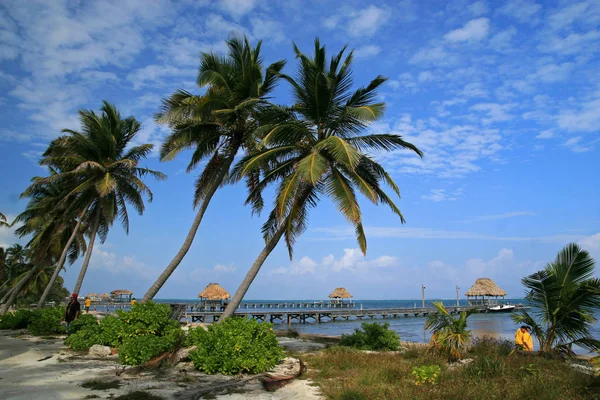 Praia de Ambergris Caye — Fotografia de Stock