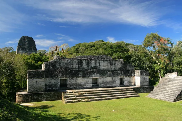 Main Plaza in Tikal — Stock Photo, Image