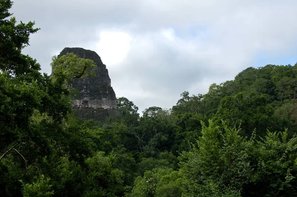 Templo IV em Tikal — Fotografia de Stock