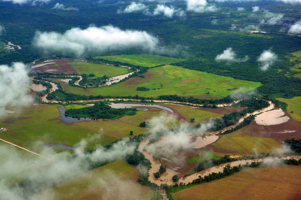 Yağmur ormanı ve alanları Guatemala