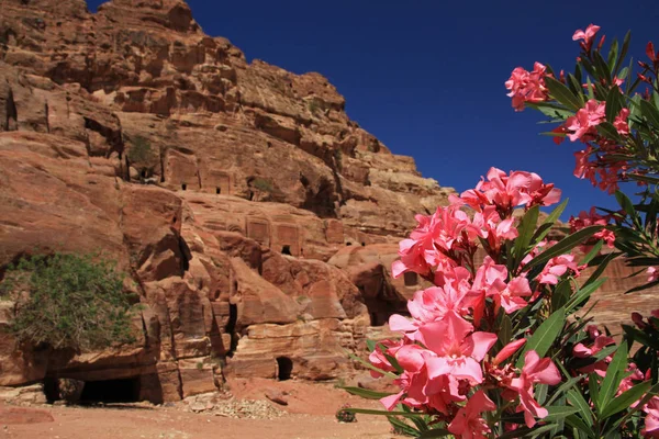 Tumbas Reales en Petra — Foto de Stock