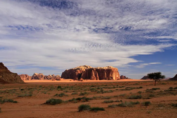 Wadi Rum védett terület — Stock Fotó