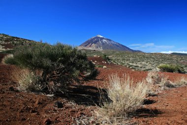 teide Dağı, tenerife