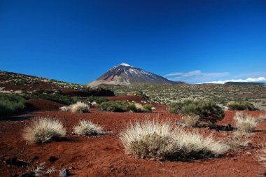 teide Dağı, tenerife