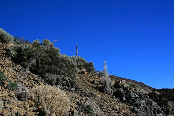 Parque Nacional de Teide — Fotografia de Stock